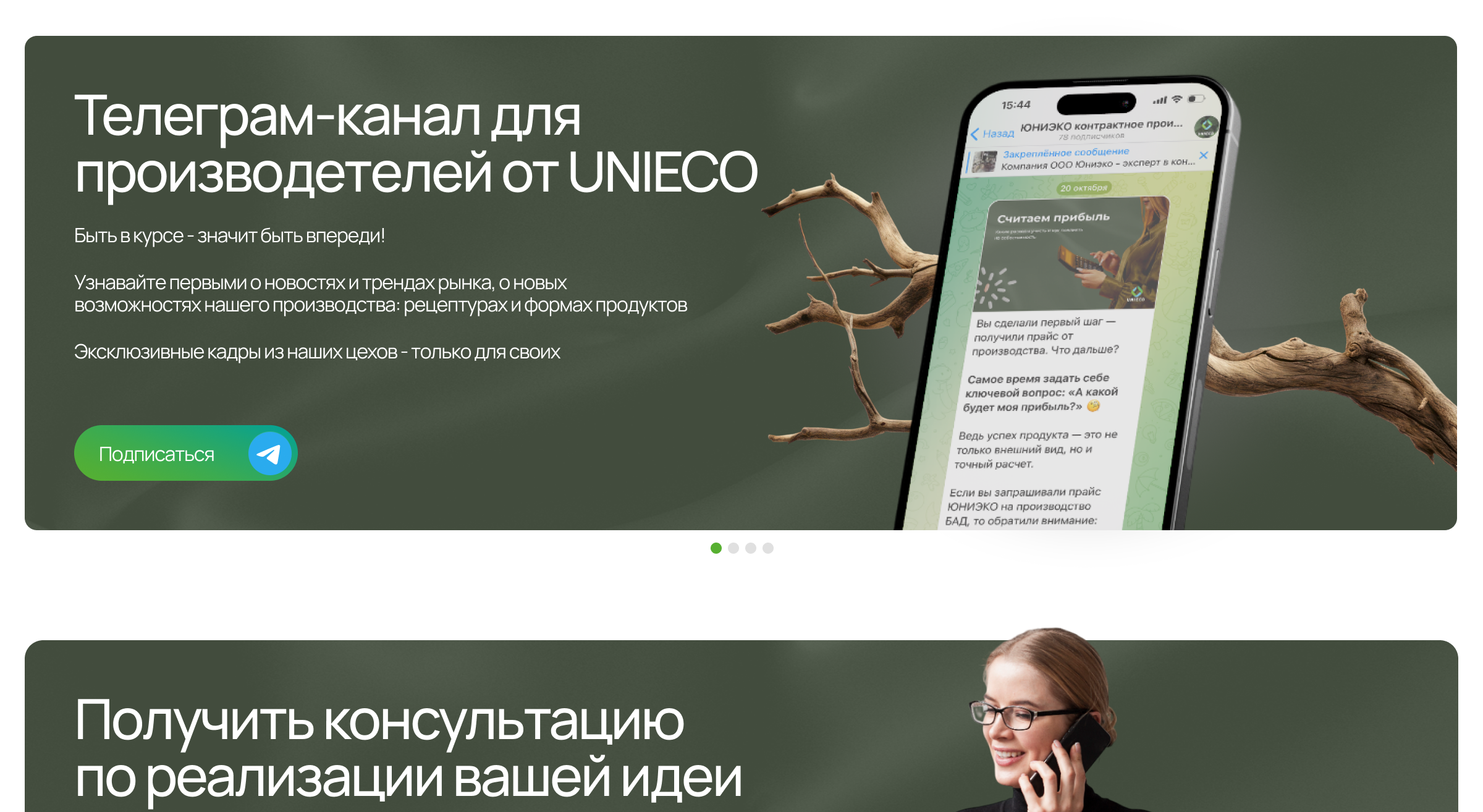 Станица статьи